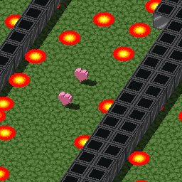 meteor day