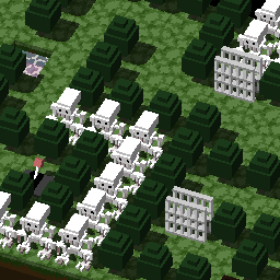 forest maze