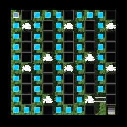 アップル5