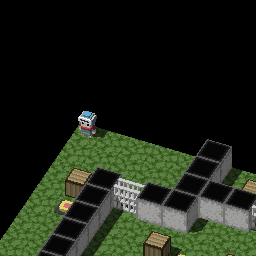 初めて