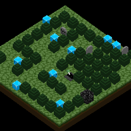 The forest