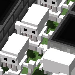 Ss