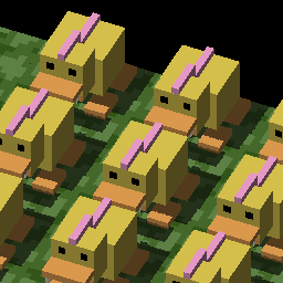Los patos quieren vengansa:-(