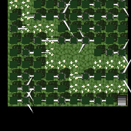 死亡迷宫
