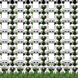 わちゃわちゃ