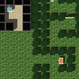 Forest