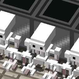 Puzzle And traps!