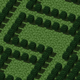 The Forest