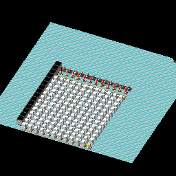 100コイン稼ぎ