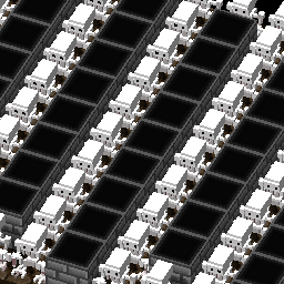 スケルトンロード